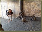 Jaipur Monkey Temple 11.JPG