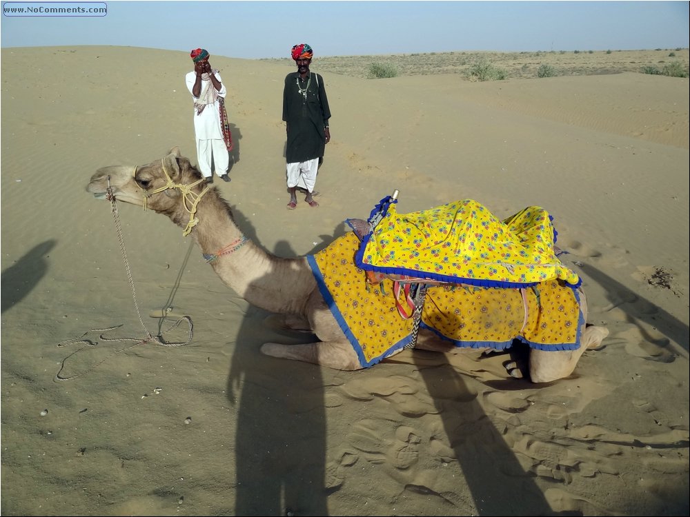 Camel ride 04.JPG