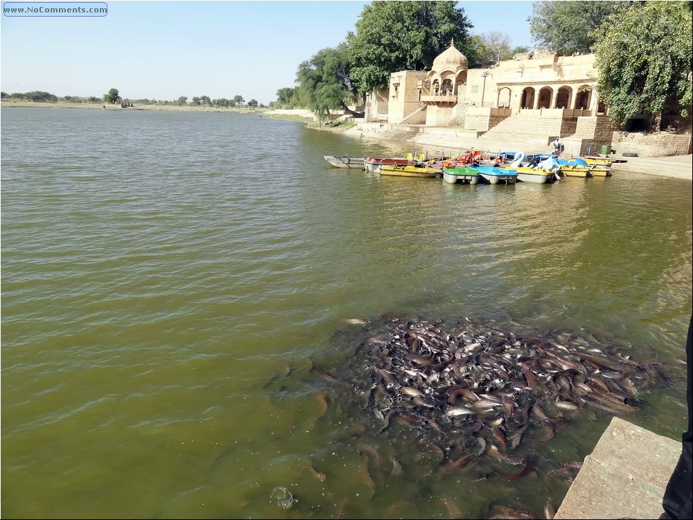 Jaisalmer 01.JPG