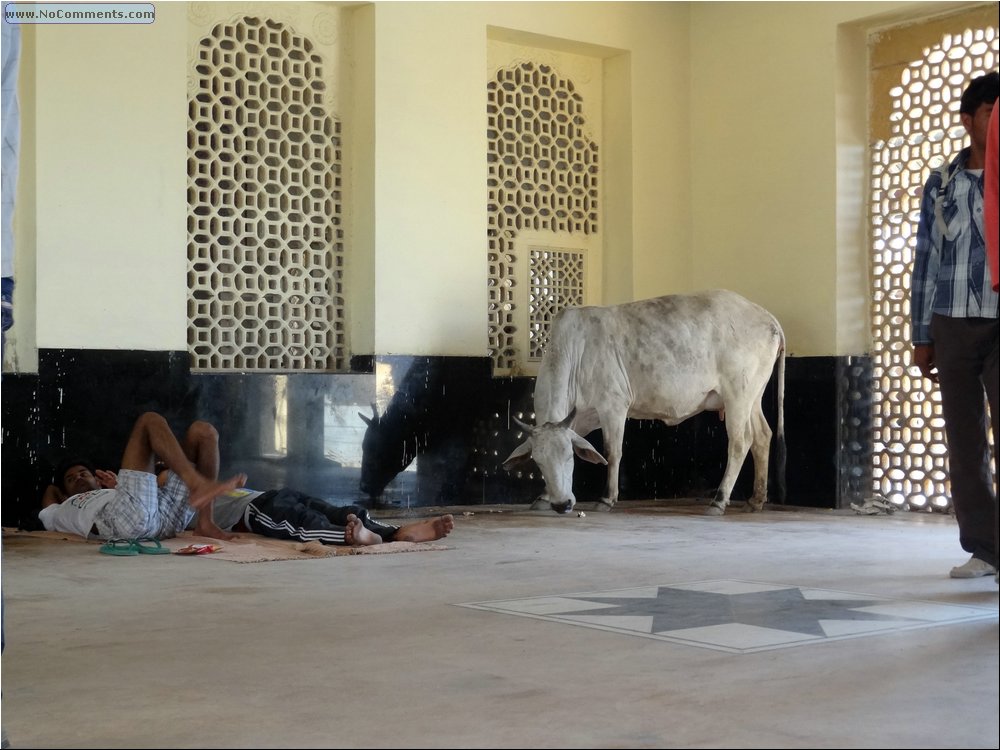 Jaisalmer train station 00.JPG