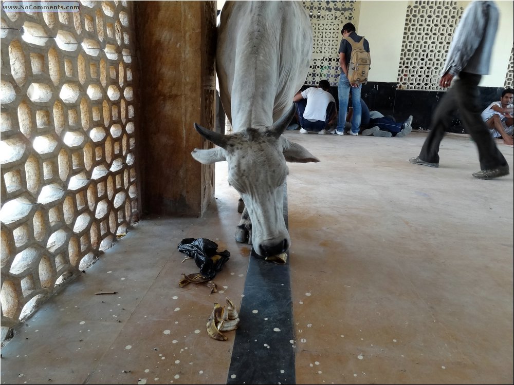 Jaisalmer train station 01.JPG