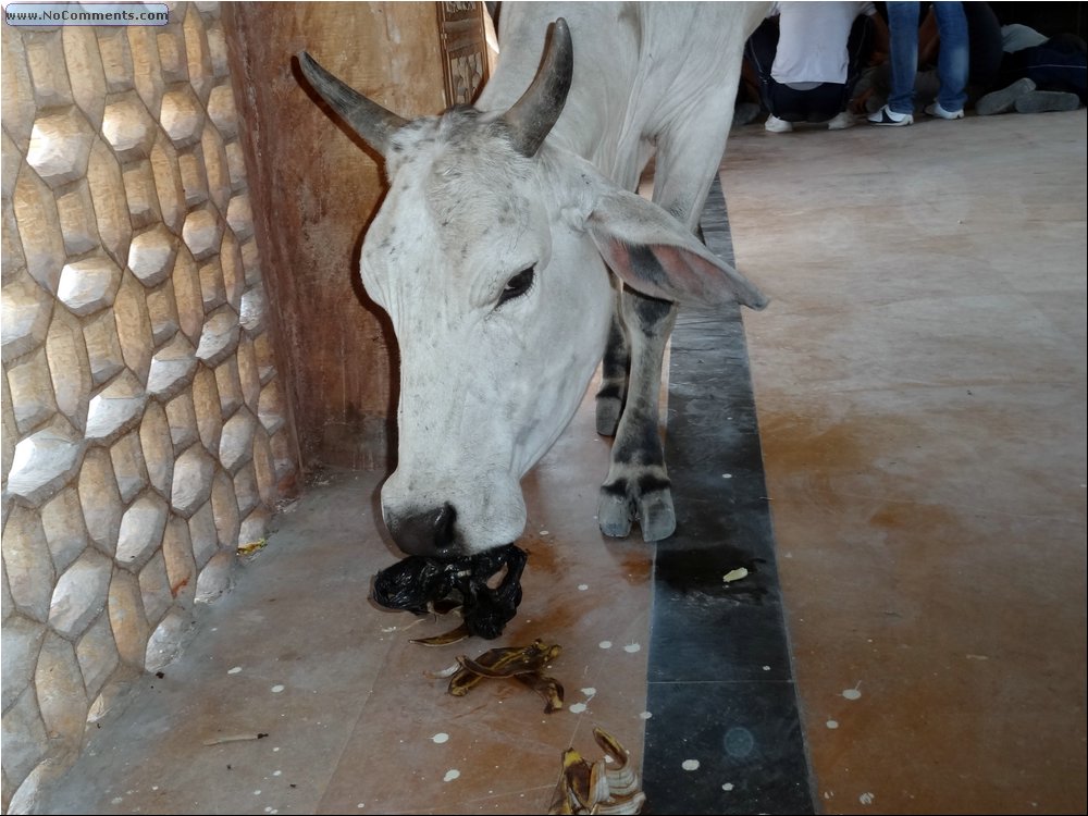 Jaisalmer train station 02.JPG