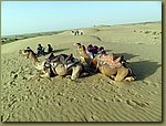 Camel ride 10.JPG