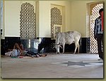 Jaisalmer train station 00.JPG