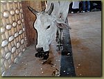 Jaisalmer train station 02.JPG