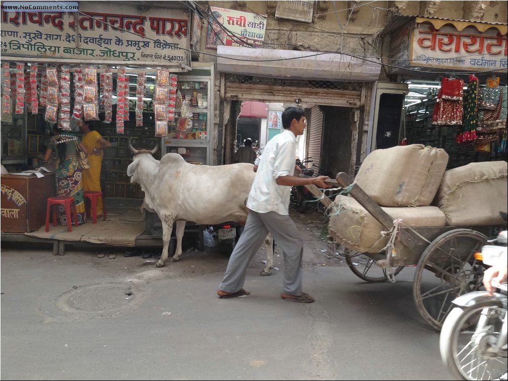 Jodhpur shopping expedition 06.JPG