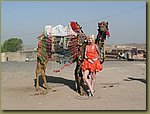 Jodhpur Fort 03.JPG