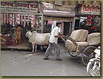 Jodhpur shopping expedition 06.JPG