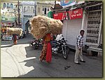 Udaipur Temple 18.JPG