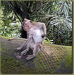 20171025_150222.jpg