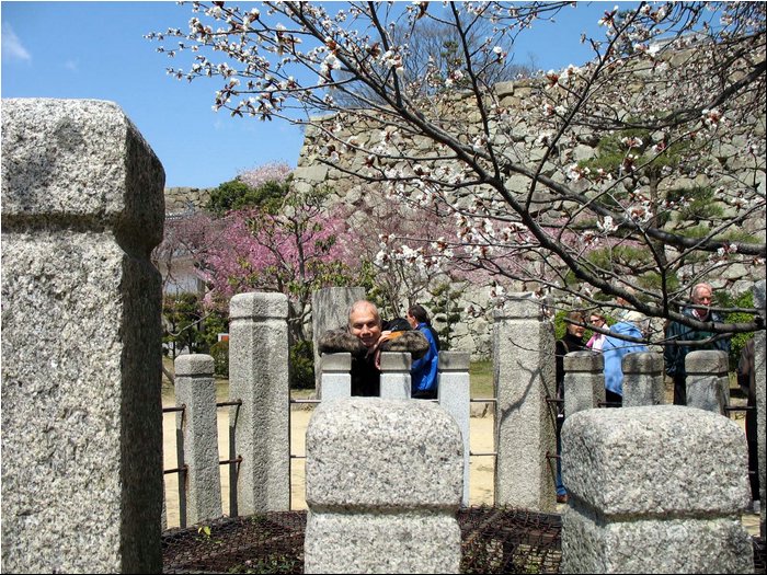 Himeji Shogun Castle 9b.jpg