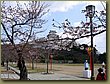 Himeji Shogun Castle 2.JPG