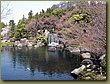 Himeji Shogun Castle Garden 6.JPG