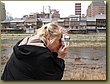 Kyoto Cherry Blossoms 3.JPG