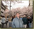 Kyoto Cherry Blossoms 7.jpg