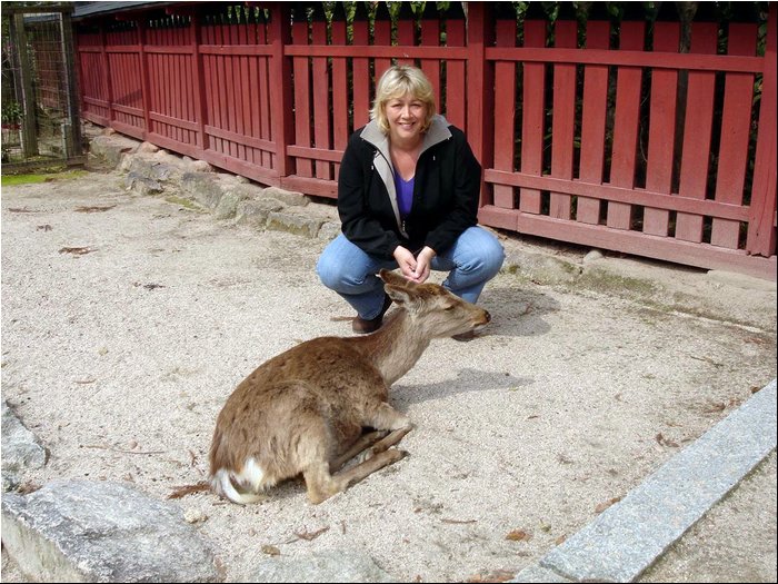 Miyajima Deers 1.JPG