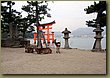 Miyajima Deers.JPG