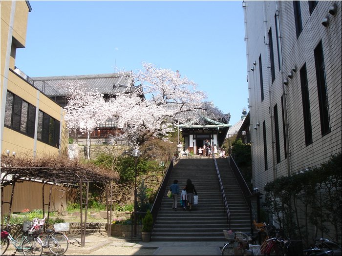 Nara Highschool.JPG