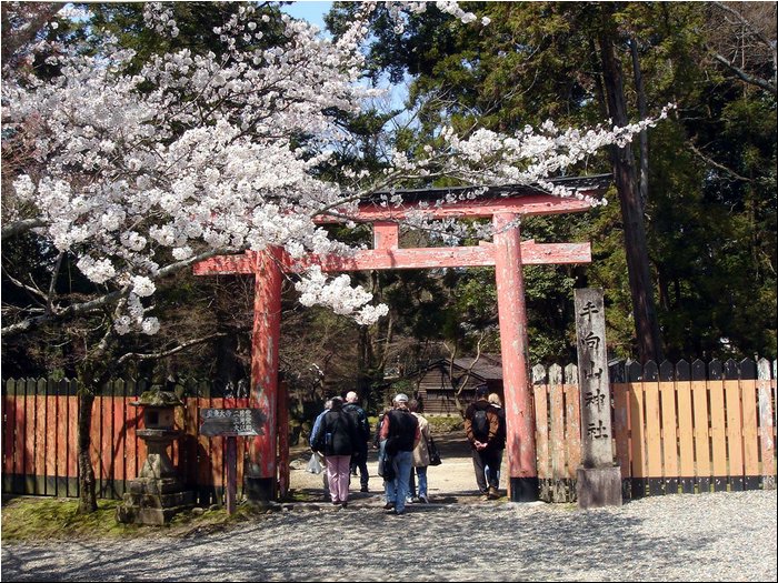 Nara shinto gate.JPG