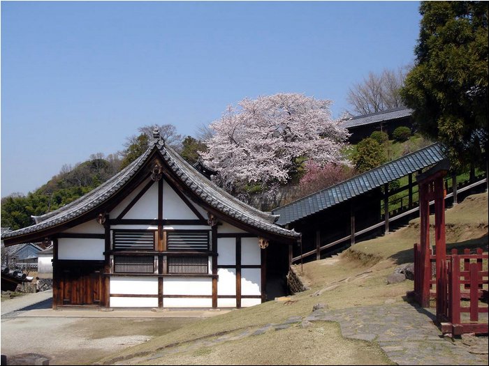 Nara temple.JPG