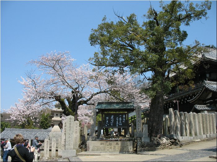 Todai-ji 7.jpg