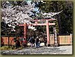 Nara shinto gate.JPG