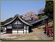 Nara temple.JPG