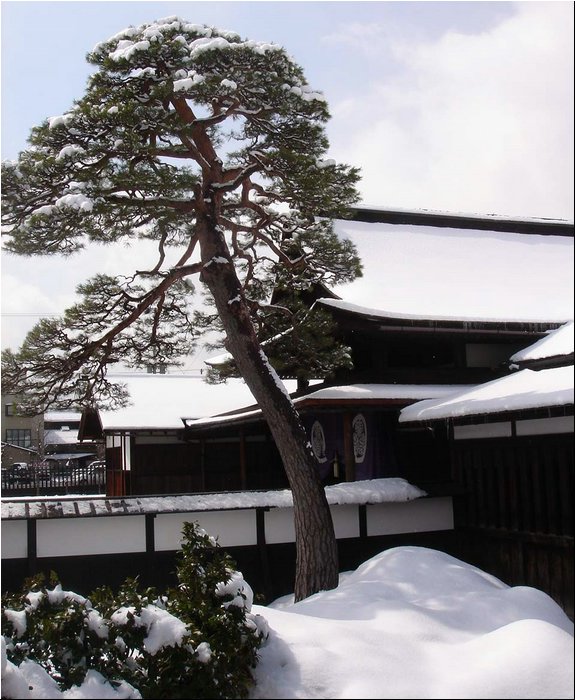 Hida Takayama 4.JPG