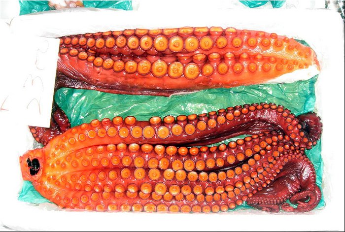 Fish market - octopus.JPG