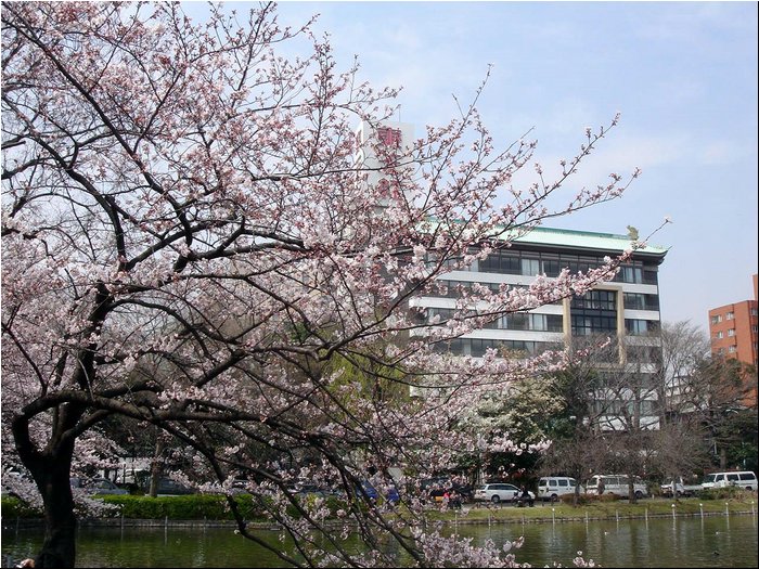 Tokyo Ueno Garden 3.JPG