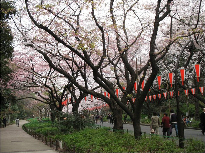 Tokyo Ueno Garden 6.jpg