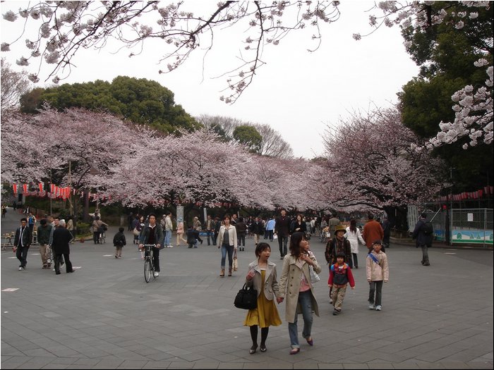 Tokyo Ueno Garden.JPG