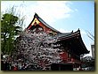 Asakusa Buddhist Temple 2.jpg