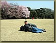 Tokyo Imperial garden 5.jpg