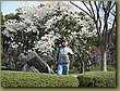 Tokyo Imperial garden 6.jpg