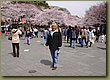 Tokyo Ueno Garden 2.JPG