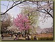 Tokyo Ueno Garden 4.JPG