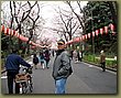 Tokyo Ueno Garden 5.jpg