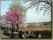 Tokyo Ueno Garden 9.jpg