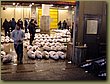 Tokyo tuna auction 1.JPG