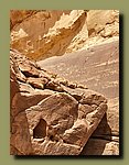 20230315_145430.jpg