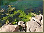 Near Lake Van Crater Lake 2.JPG