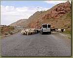 Road .JPG