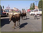 Road 3.JPG