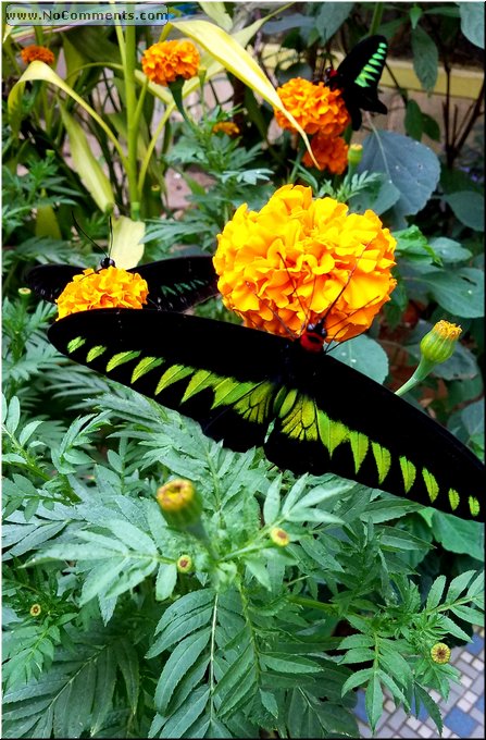 20190202_100029.jpg
