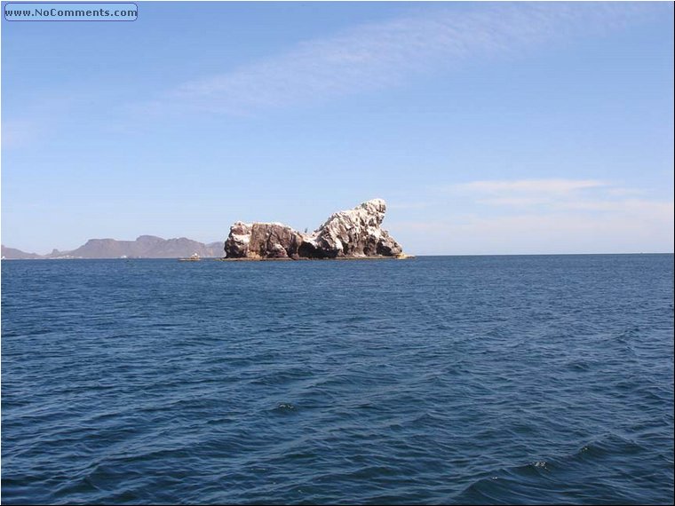 San Carlos 05.JPG