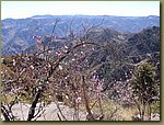 Copper Canyon 08a.JPG