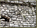 Chichen Itza iguana.jpg