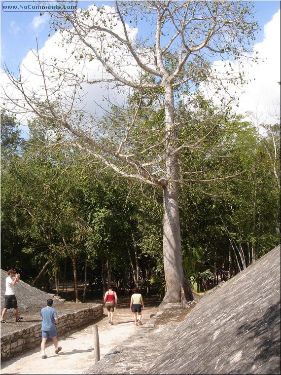 Coba Ball Court 1a.JPG
