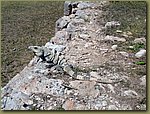 Uxmal iguana.JPG